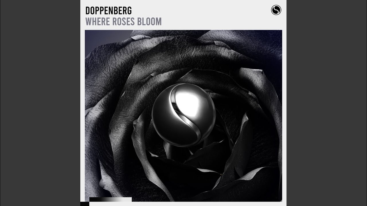 Where Roses Bloom