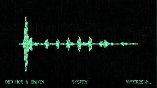 System
