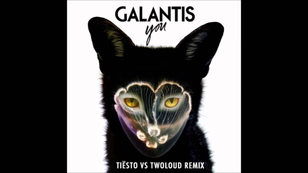 You (Tiesto vs twoloud Remix)