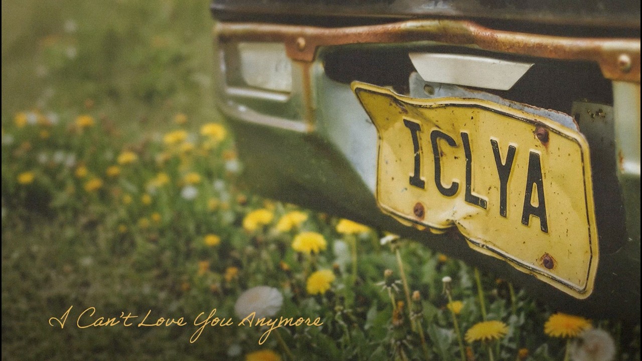 I CAN'T LOVE YOU ANYMORE