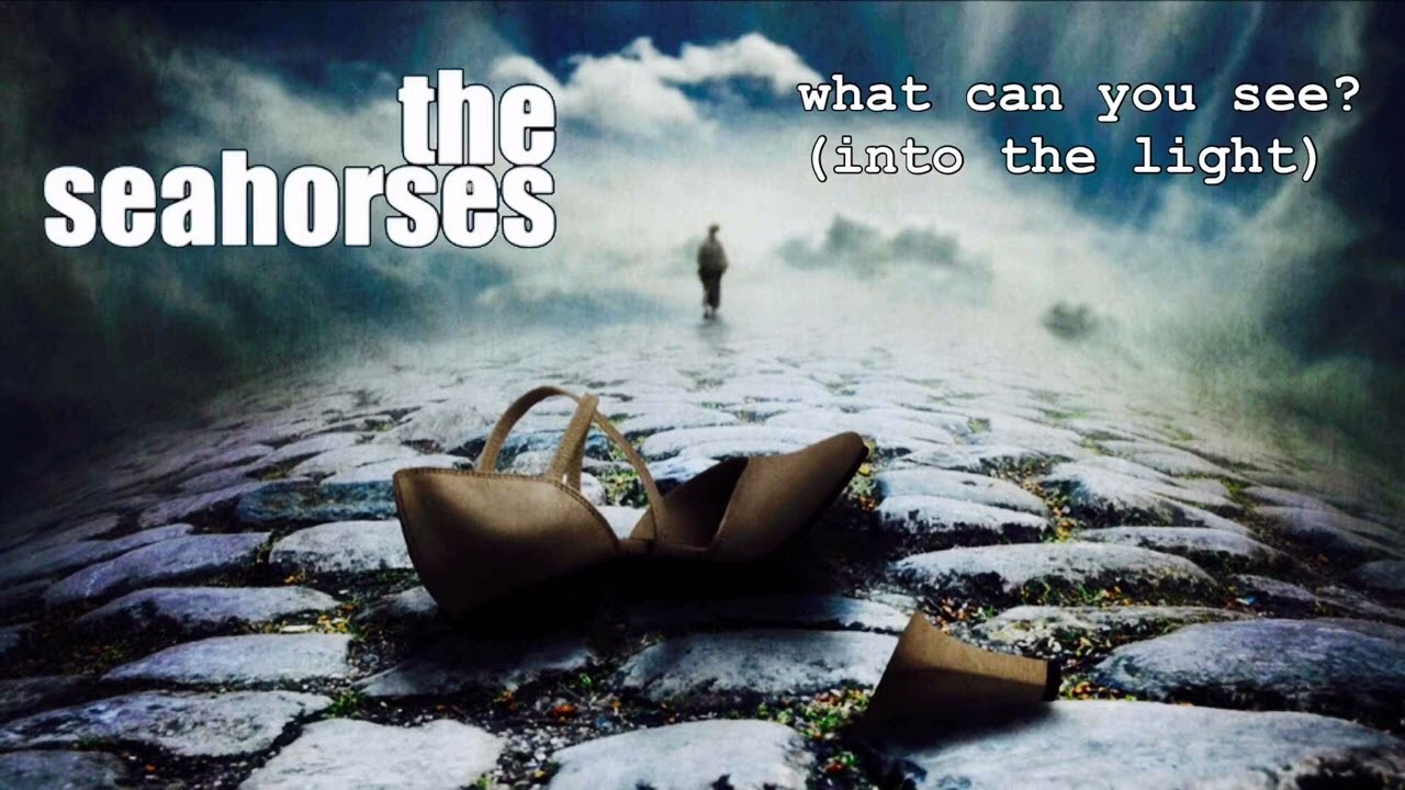 What Can You See?