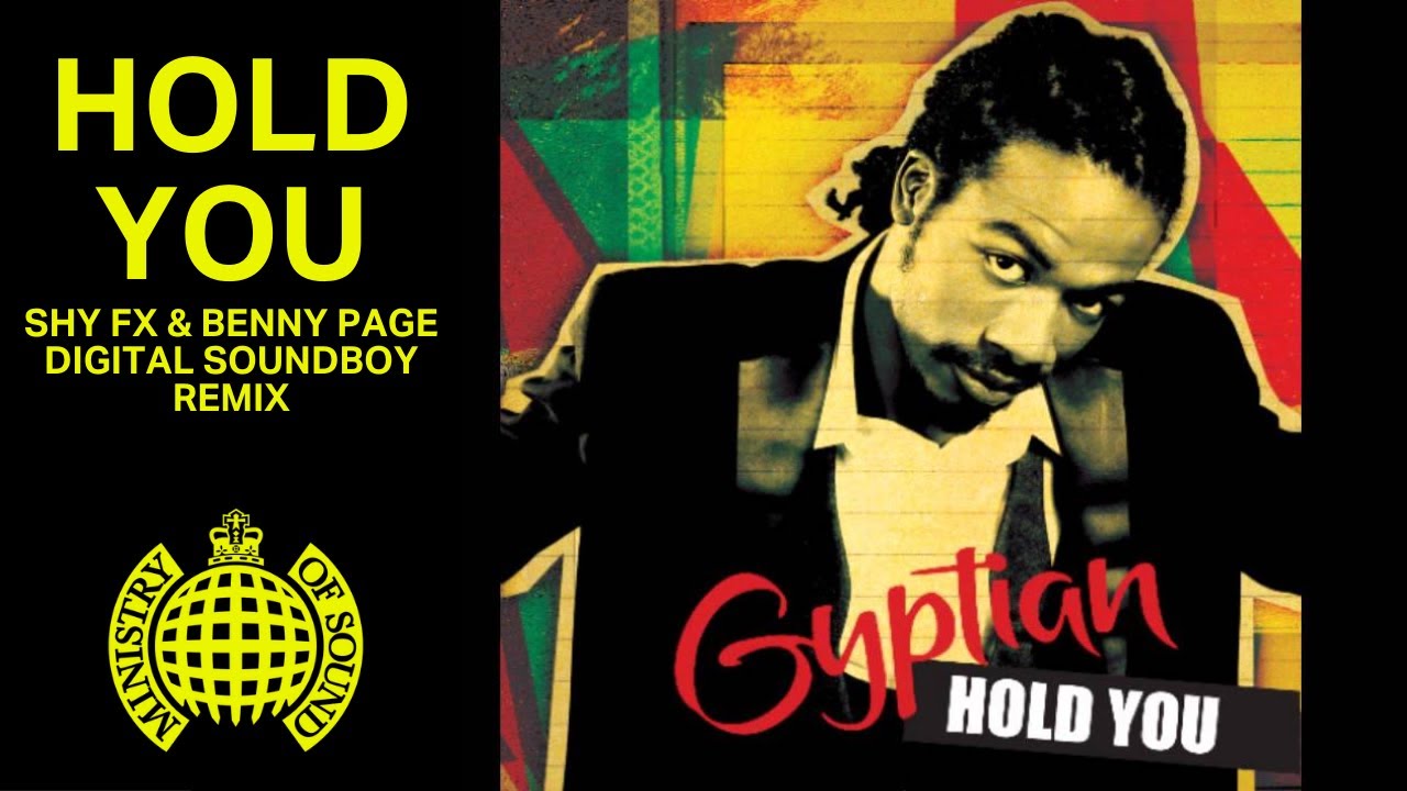 'Hold You' (Shy FX & Benny Page Digital Soundboy Remix)