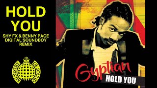 Hold You (Shy FX & Benny Page Digital Soundboy Remix)