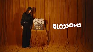 The Honeymoon [Explicit]