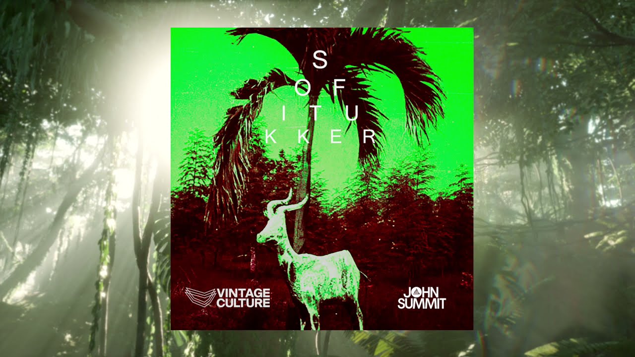 Drinkee (Vintage Culture & John Summit Remix)