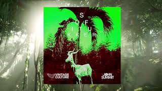Drinkee (Vintage Culture & John Summit Remix)