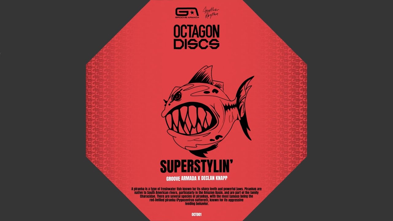 Superstylin' Extended Mix
