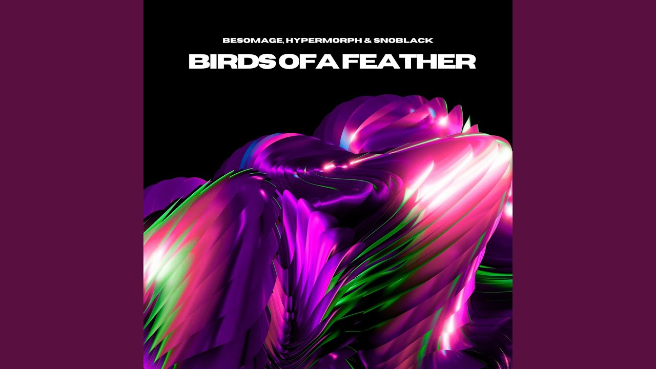 Birds Of A Feather