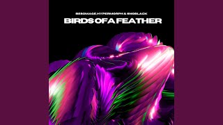 Birds Of A Feather