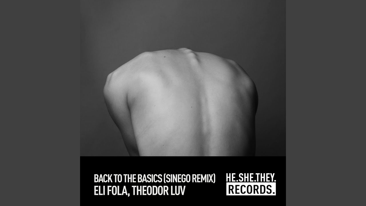 Back To The Basics (Sinego Remix)