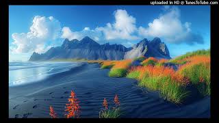 Symbiotic Extended Mix