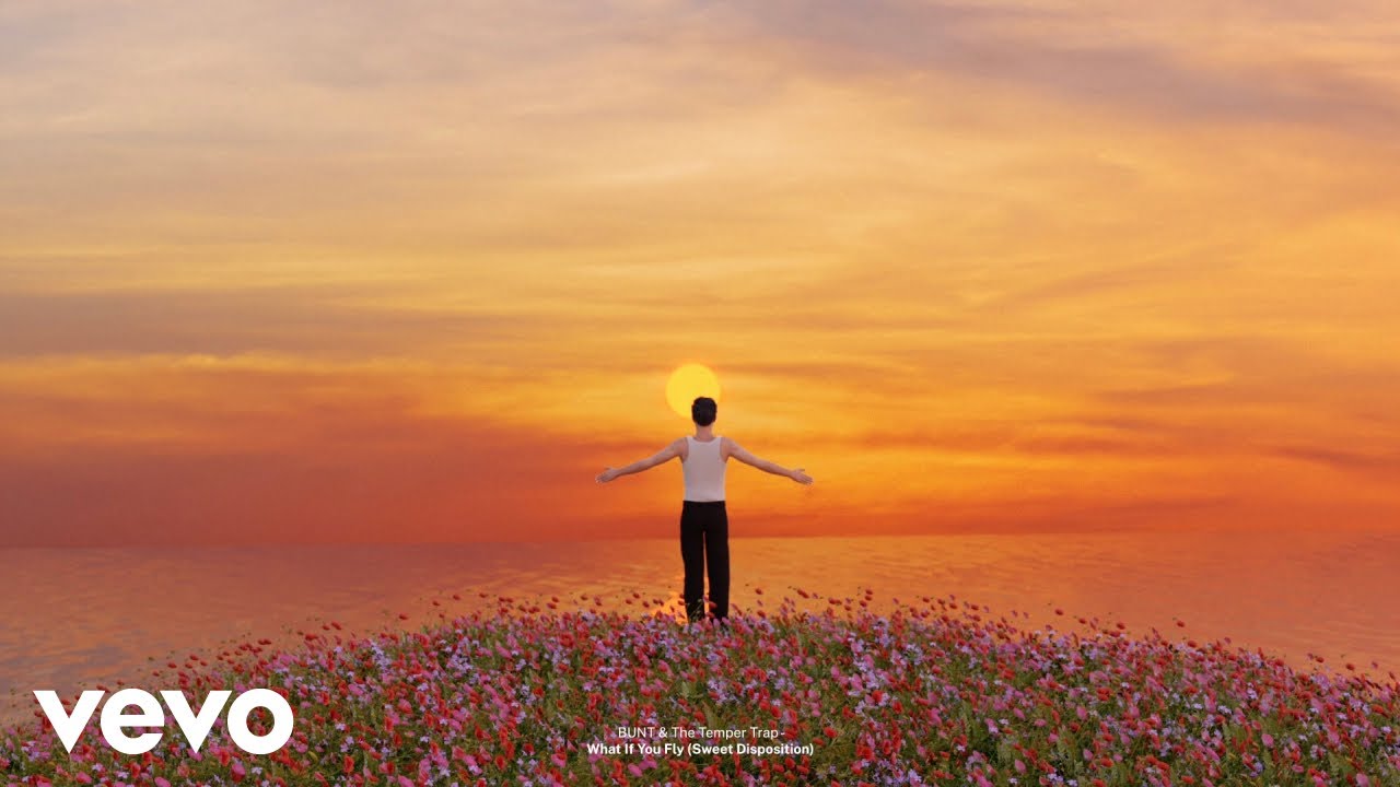 What If You Fly