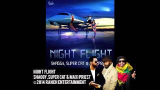 Night Flight