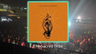 Blessings Original Mix