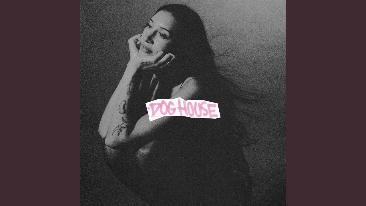 DOG HOUSE
