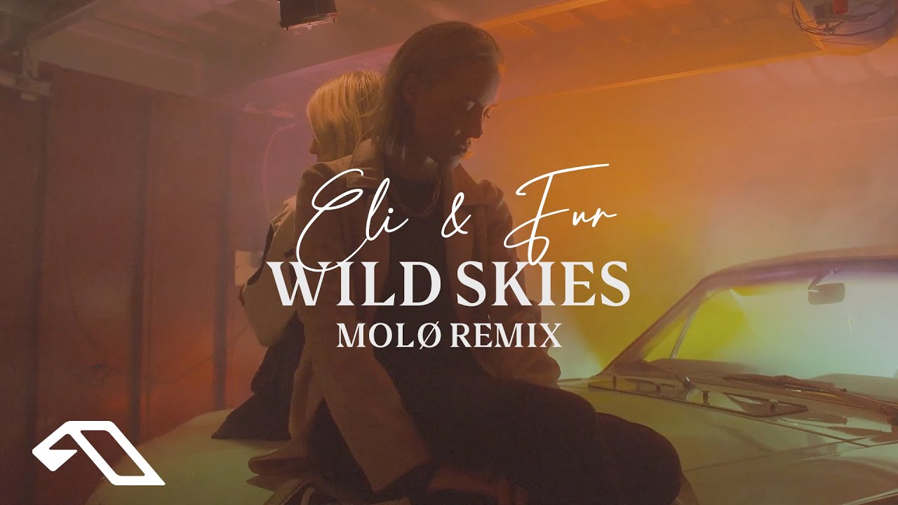Wild Skies (MOLØ Remix)