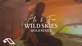 Wild Skies (MOLØ Remix)
