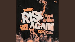Rise Again