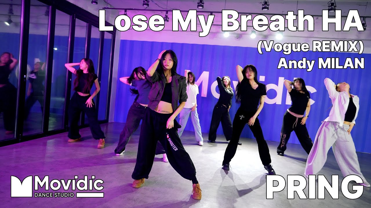 Lose My Breath (Andy Milan Vogue Remix)