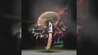 Move 2 the Groove Original Mix