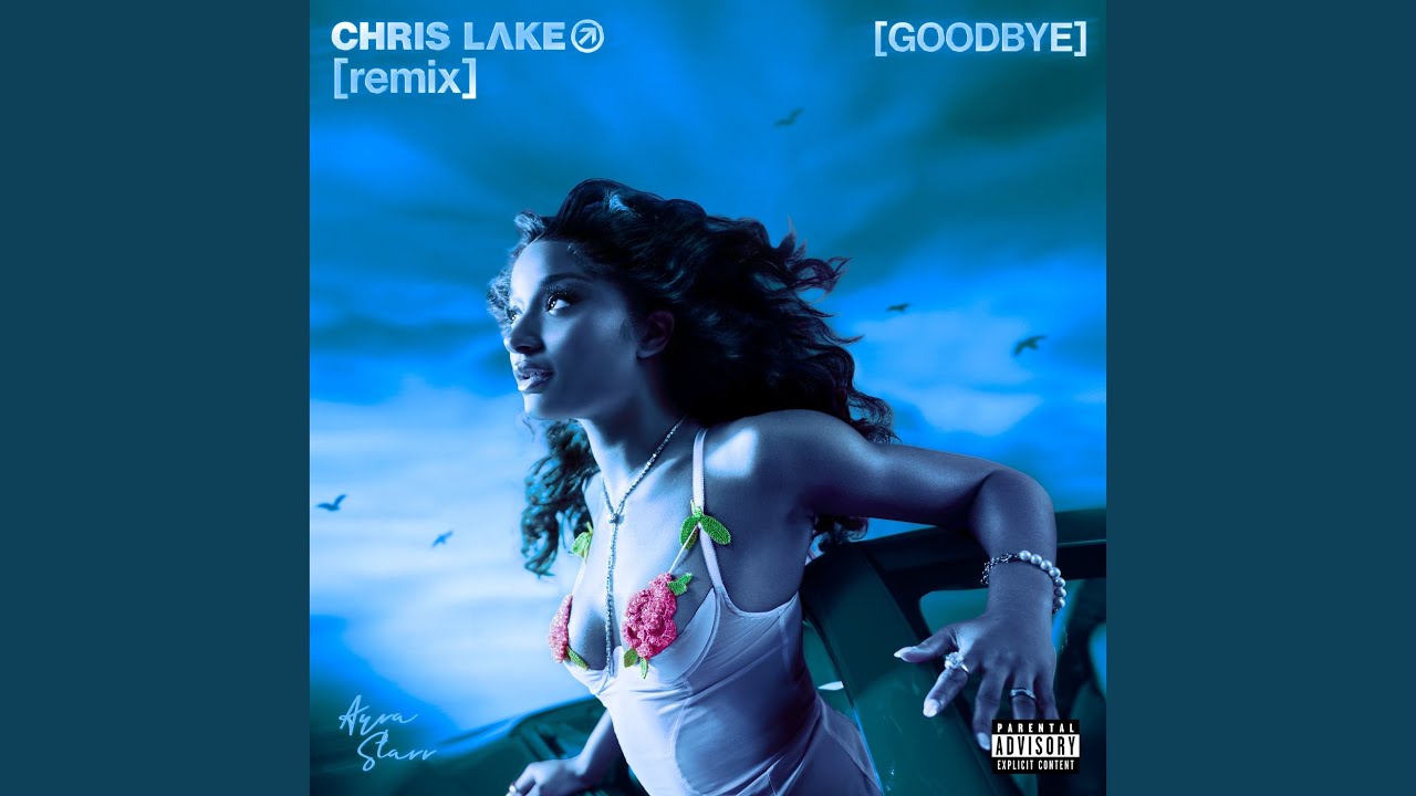 Goodbye (Warm Up) (Chris Lake Remix)