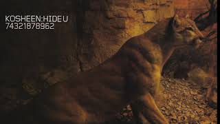 Hide U (John Creamer & Stephane K Remix Edit)  #arttrack