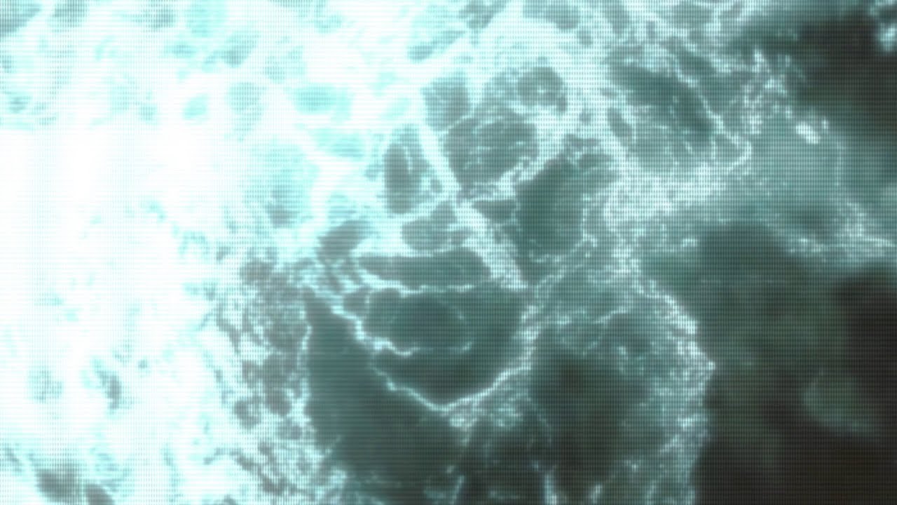 Oceanside (Monkey Safari Remix)