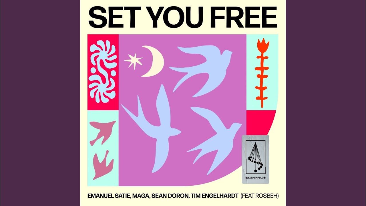 Set You Free