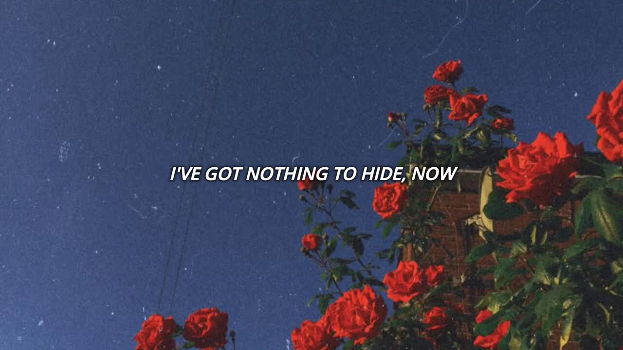 Roses Bloom For You