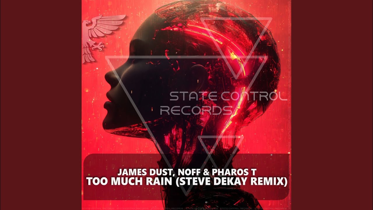 Too Much Rain - Steve Dekay Radio Edit