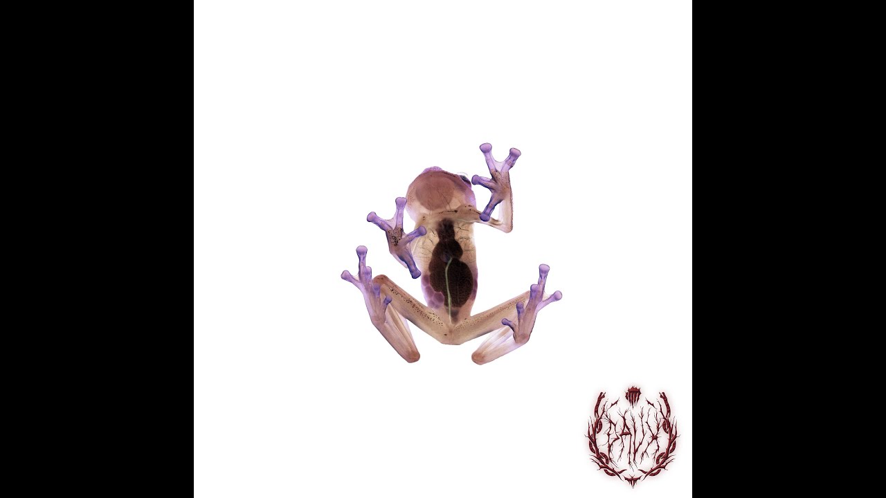4 MIND (Miss Jay Remix)