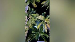 Do You Mind (Sped Up)