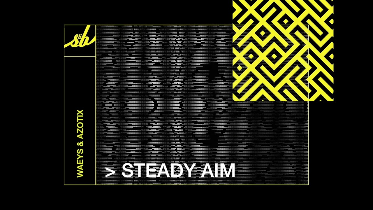 Steady Aim