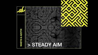 Steady Aim