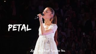 petal (live)