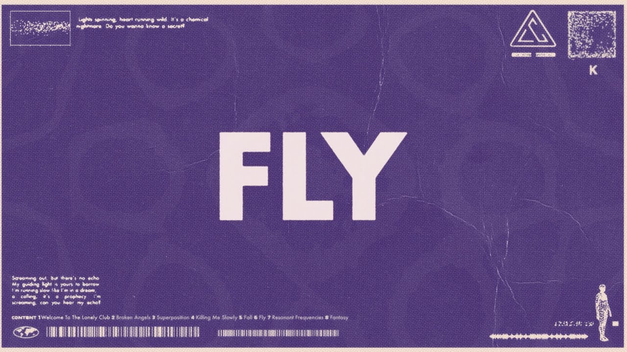 Fly