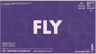 Fly
