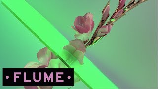 Never Be Like You feat. Kai (Disclosure Remix)