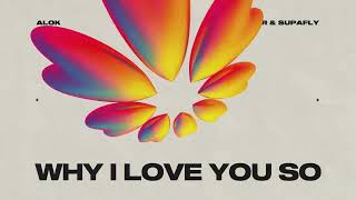 Why I Love You So
