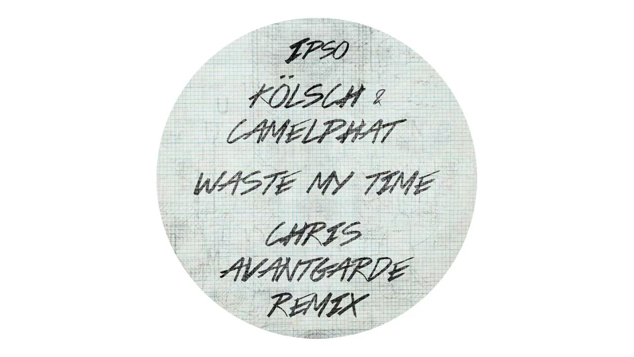 Waste my time (Chris Avantgarde Remix)