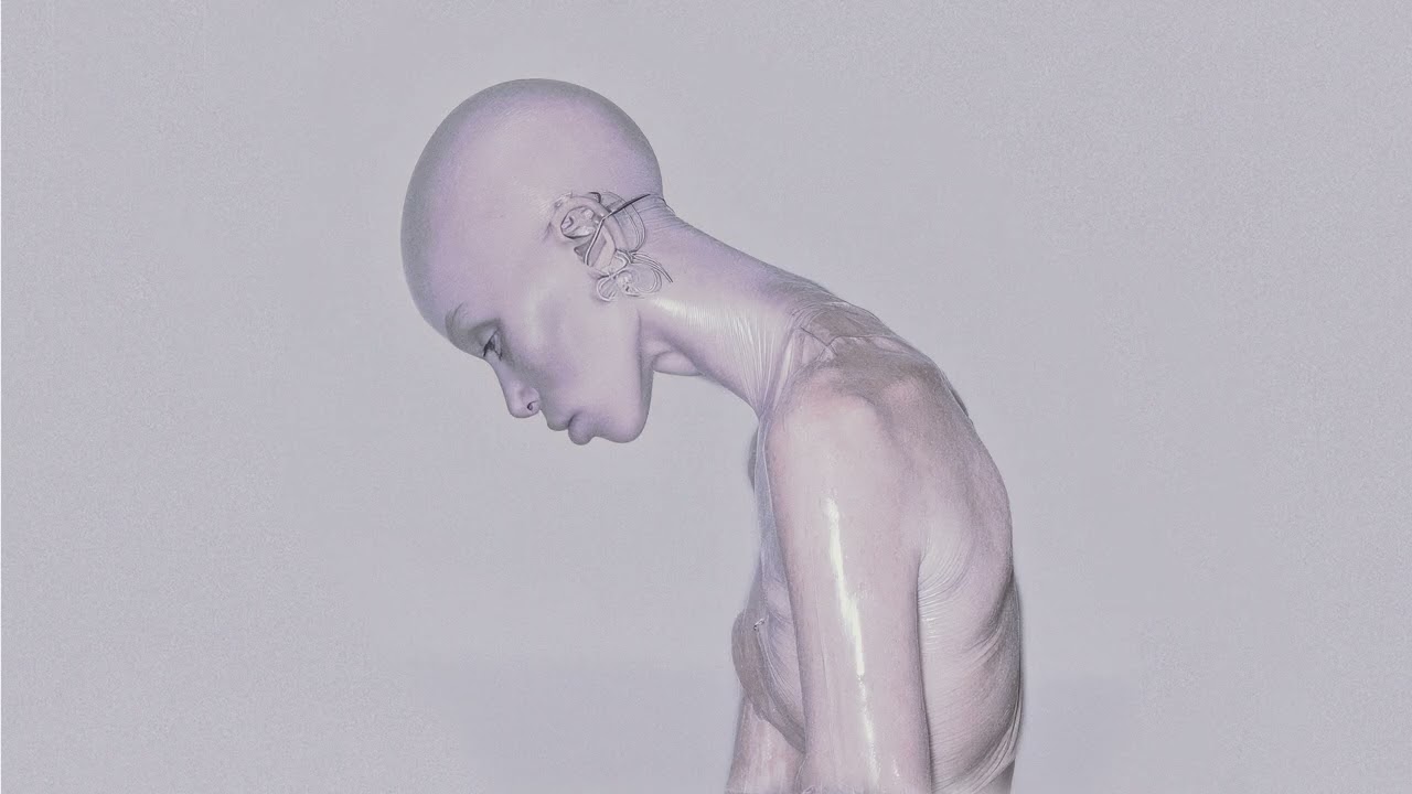 Wild and Alone