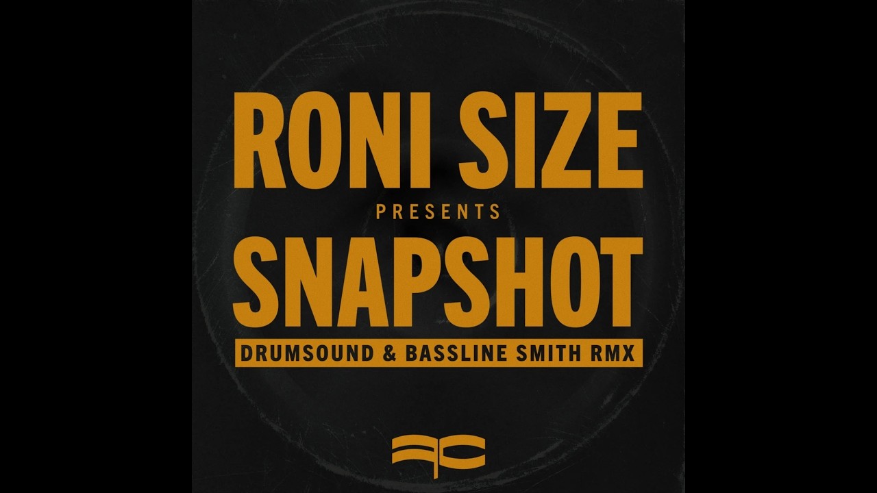 Snapshot Drumsound & Bassline Smith Remix