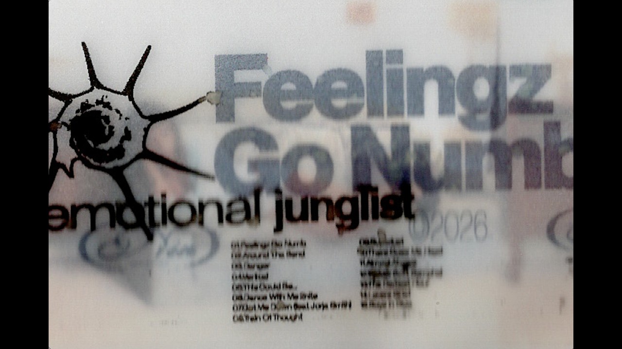 Feelingz Go Numb