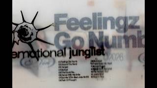 Feelingz Go Numb