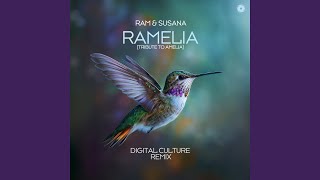 RAMelia - Digital Culture Remix