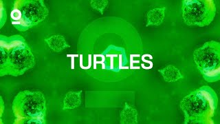 Turtles Extended Mix