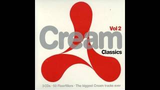 Professional Widow (Armand Van Helden's Star Trunk Remix)