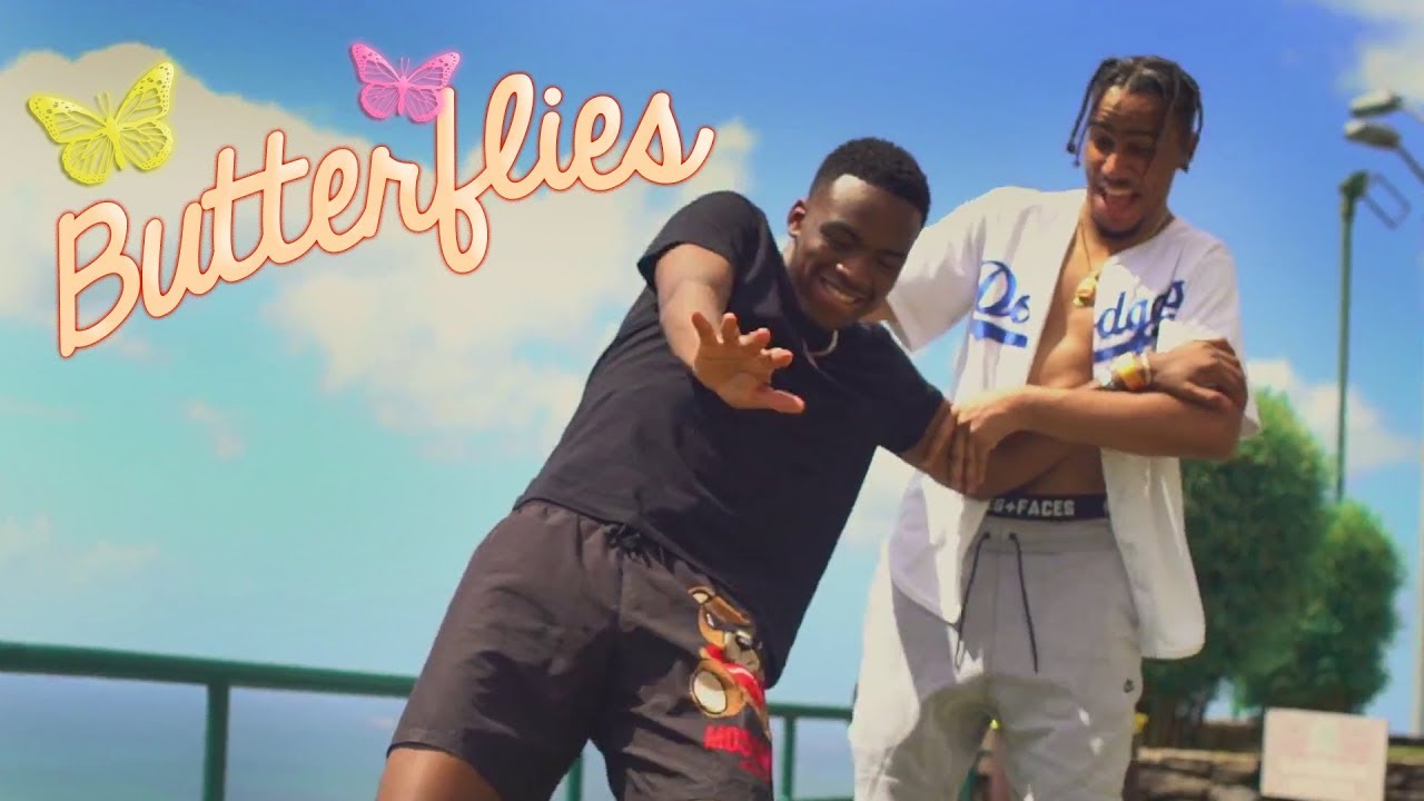 Butterflies (ft. Not3s)
