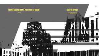 Night In Detroit (feat. Fedde Le Grand)
