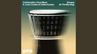 BONGOS (IN THE MORNING)